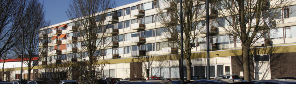 Gorinchem Banner