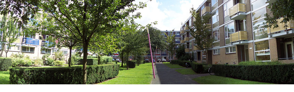 Panorama in het groengebied van Boerhaavewijk